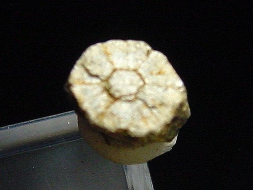Trapiche cordierit cerasit - cordierit,