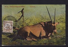 AI003) AK Ansichtskarte DSWA