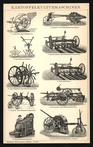 Druck 1896 kartoffel - -,