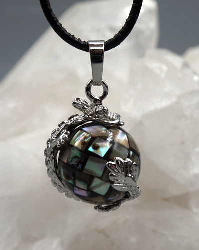 Paua muschel abalone - muschel,