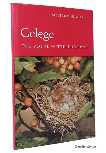Siegfried hoeher gelege - hoeher:,
