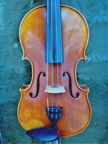 Bratsche viola 40 cm - /,