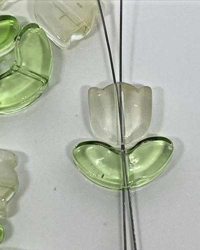 Blume blumen weiße - blumen, glas