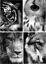 Diamond Painting 4 Stück Auge 30x40 cm Diamant Painting Bilder Tiger Diamond 