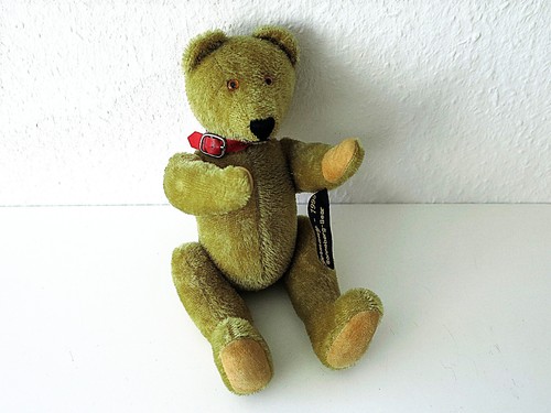 Teddy bär haida kleine - teddy, „kleine