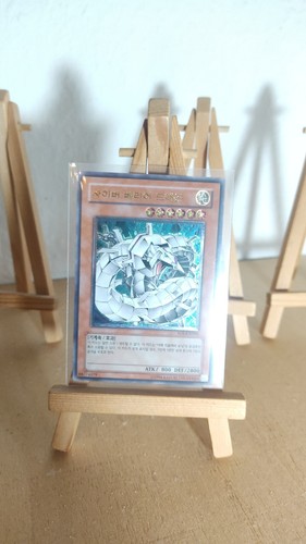 Cyber barrier dragon - barrier,