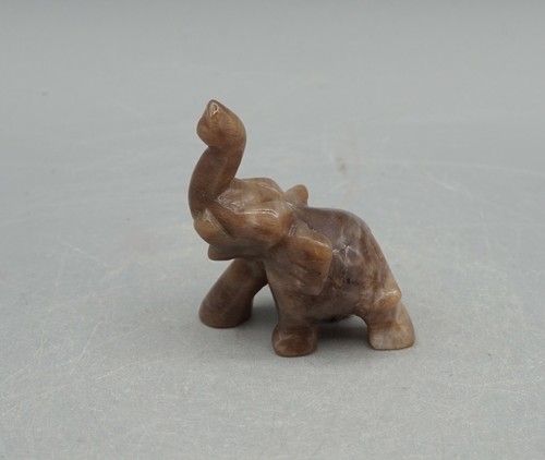Wunderschöner elefant - wunderschöner,
