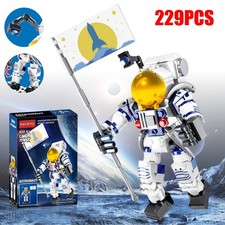 229 Stk Astronauten