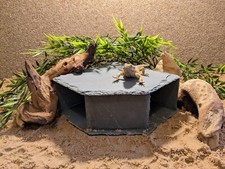 XL große personalisierte