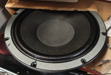 TW Audio T24 LS 12" Tiefmitteltöner T24P Chassis
