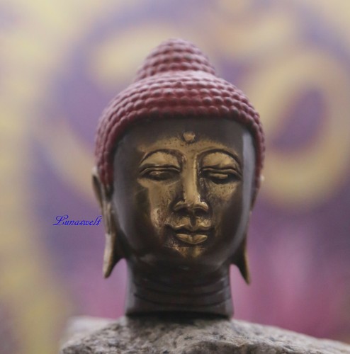 Buddha kopf - kopf,, büste