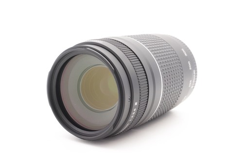 Canon 300mm 5 - canon, iii