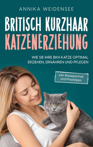 Britisch kurzhaar - britisch,