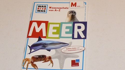 Was ist minibuch von - was,