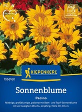 Kiepenkerl Blumensamen Sonnenblumen Pacino, für ca 40 Pflanzen - Niedrige Sorte