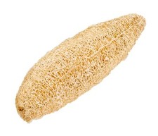 NaDeco Schwammgurke 12-16 cm | Luffa Gurke | Luffaschwamm | Luffa Schwamm