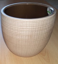 Schöner großer Pflanzen