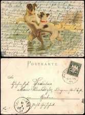 Ansichtskarte  Tiere - spielende Hunde Künstlerkarte 1901 Perlen