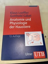 Anatomie und Physiologie der