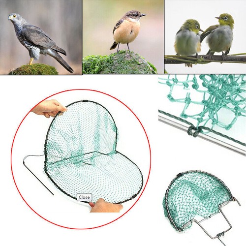 20cm vogelfalle fangen - vogelfalle,