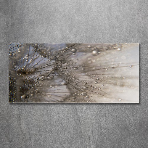 Glas bild wandbilder druck - wandbilder, auf