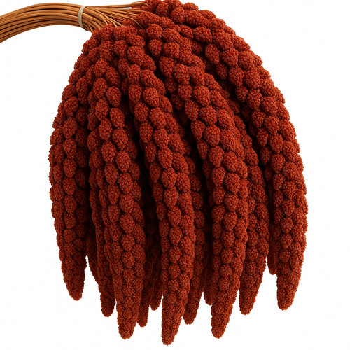 Rote kolbenhirse - kg,
