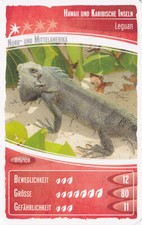 Netto     Ozeanien 2        "