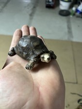 Schleich 14304 | Schildkröte - Riesenschildkröte | 1991 | Selten Figur Spielzeug