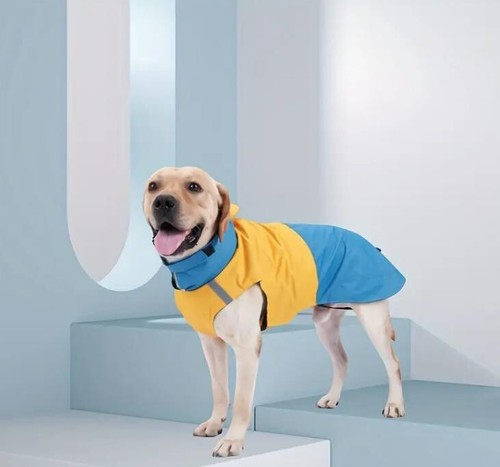 Regenjacke für hunde - regenjacke,