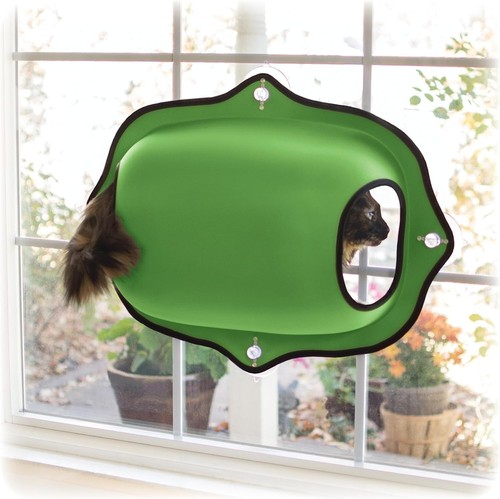 Hund katze fenster - katze, bett