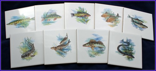 Fliesen mit fischmotiv - mit, als