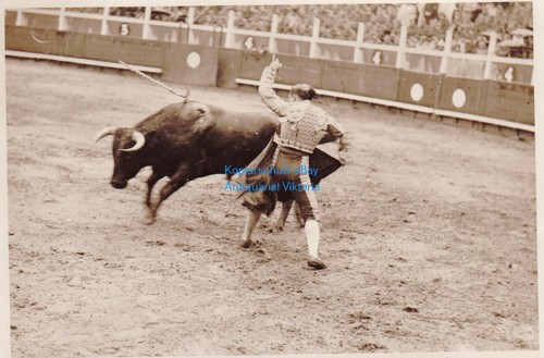 Foto stierkampf spanien - spanien,