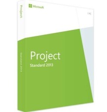311234 - MS Project 2013