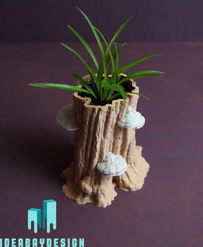 Baumstumpf vase natur - , –