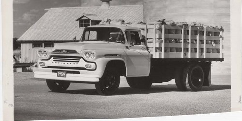 Chevrolet apache 1959 foto - chevrolet,
