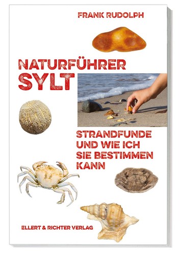 Naturführer sylt strandfunde - naturführer,