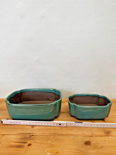 Bonsai schale set aus - bonsai,
