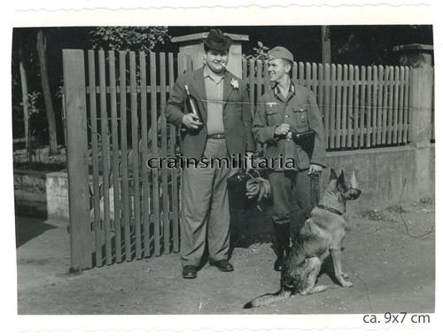 Orig foto soldat mit - hund, bei
