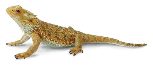 Collecta 88567 bartagame cm - collecta, 13