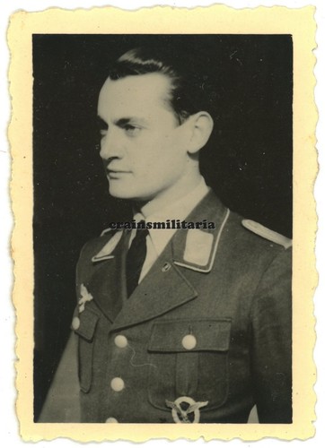 Orig foto portrait nachtjagd - foto,