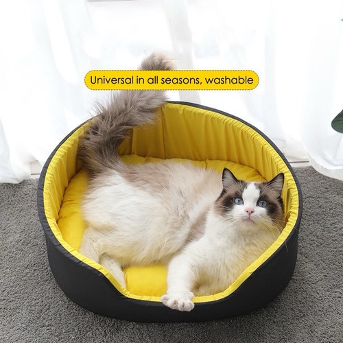 Cartoon dog bed winter - cartoon,