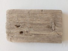 Treibholz Schwemmholz  dickes