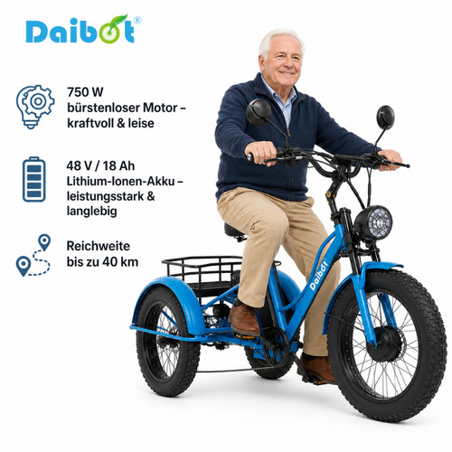Elektro dreirad 750w 48v - elektro-dreirad,