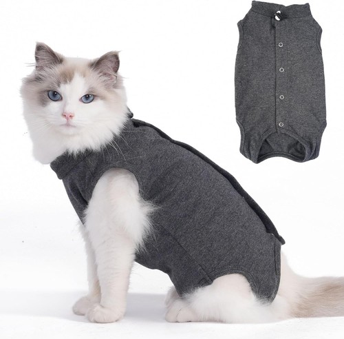 Anzug für katzen - op-anzug,