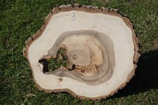 Baumscheibe Holzscheibe