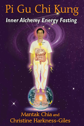 Chi kung inner alchemy - gu,