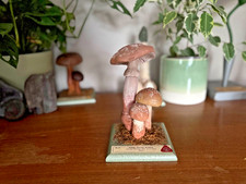 Vintage Somso Rouge Pilze Lehrmodell Fliegenpilze Botanisch Amanita