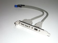 USB 2-Port FireWire Blende Bracket USB 2.0 Adapter Erweiterung Slot Slotblende