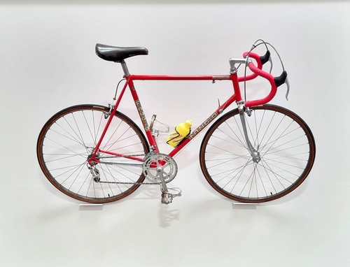 Fangio professional team bike - professional,