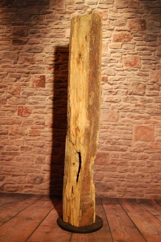 Eichenbalken 250 jahr alt - eichenbalken,